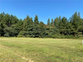Lot 12 N MONEY HILL Parkway
