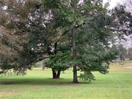 Lot 201 GREAT SOUTHERN Drive