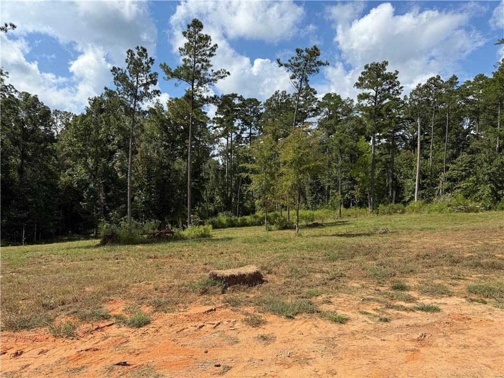 Image 2: 11.16 ACRES