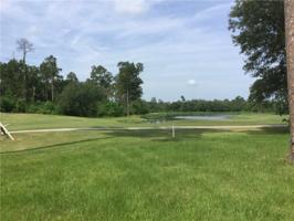 LOT 154 PLANTATION Drive