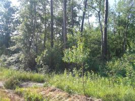 34602 GUS BALDWIN Road