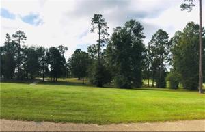 Lot 157 PLANTATION Drive