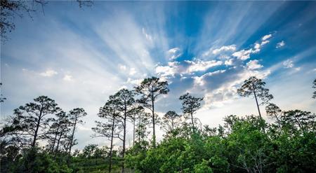 Lot 391 BALD EAGLE Drive