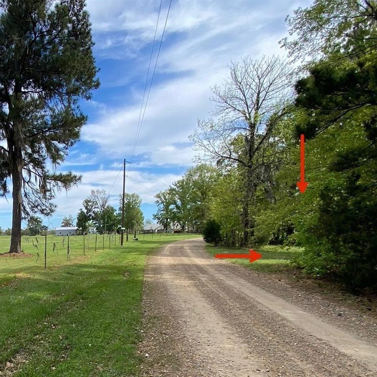 Image 2: Pic 2