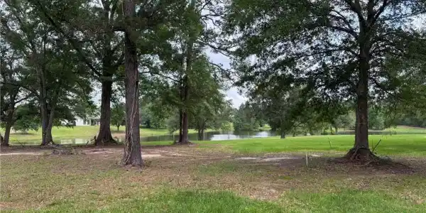Lot 451 CHINAWOOD Drive