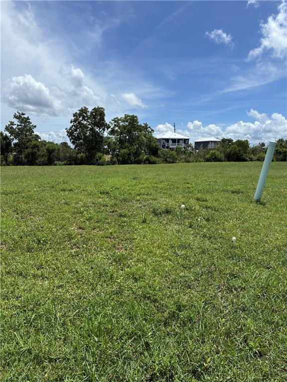 Image 1: Lot 289