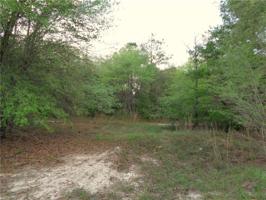 Lot 49-A OFF OF TURKEY PINE Road