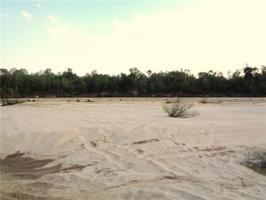 Lot 48-A OFF OF TURKEY PINE Road