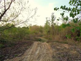 Lot 52-A OFF OF TURKEY PINE Road