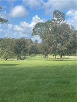 NORTHWOODS Drive