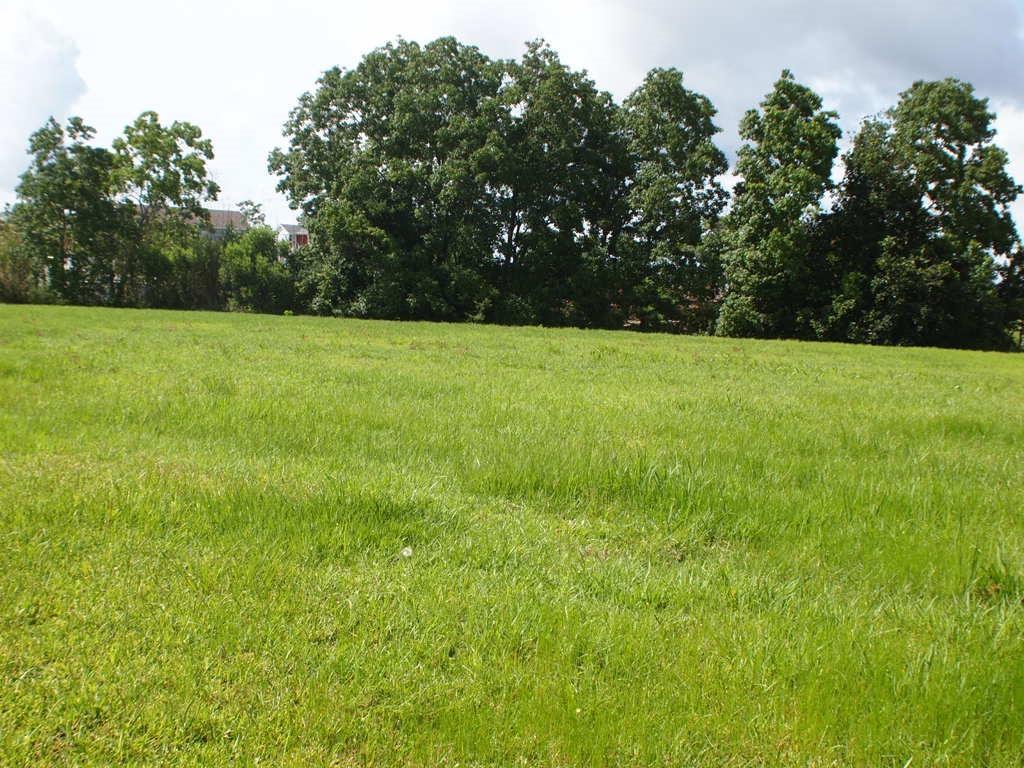 Image 1: Lot 291