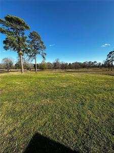 CLUBHOUSE Drive