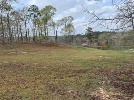 0 Magnolia Ridge Drive