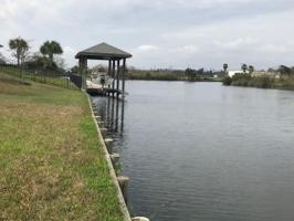 SOLOMON Drive