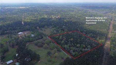 10 Acres HOLLIDAY Road