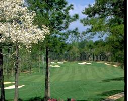 Lot 387 BALD EAGLE Drive