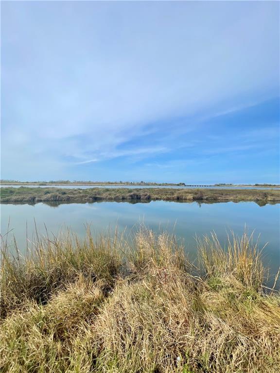 Image 2: Back of Lot Nature Preserve