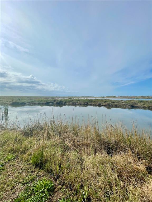 Image 3: Back of Lot Nature Preserve