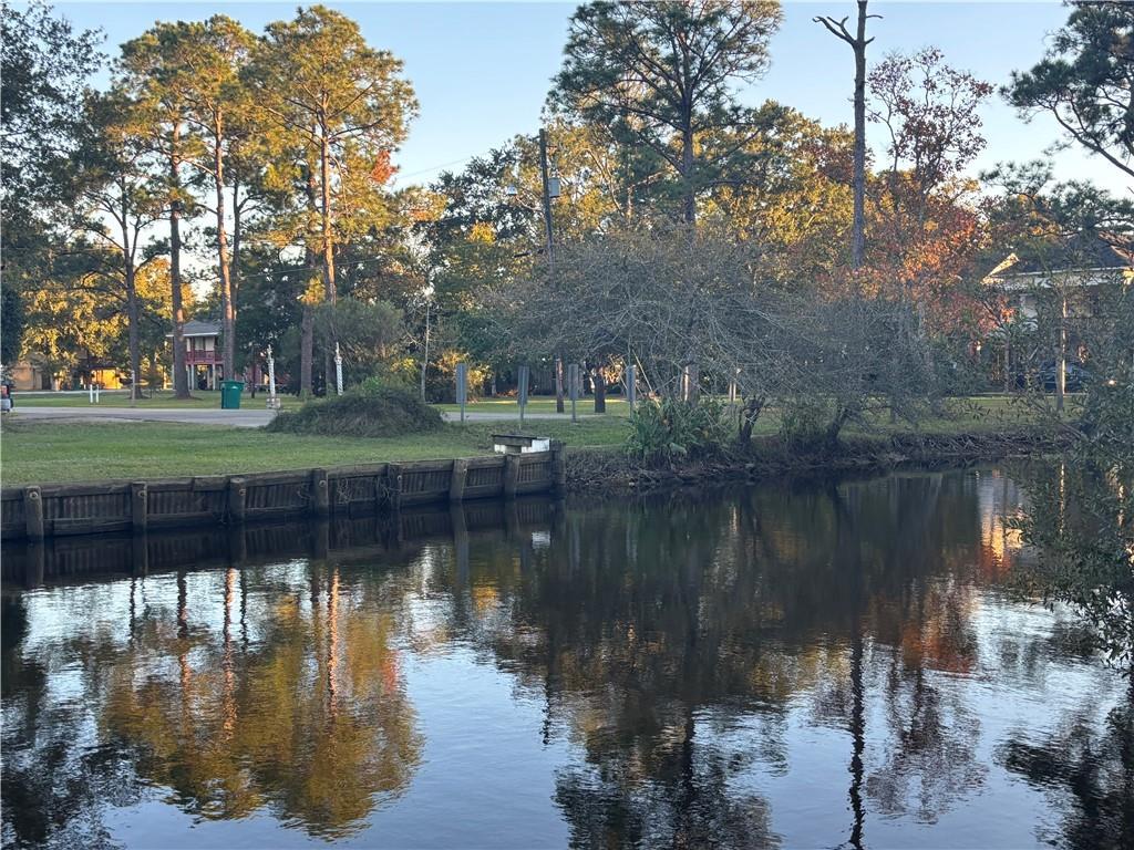 Image 4: Across the Bayou -- Another Dead End!