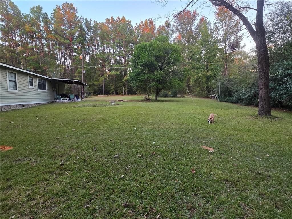 Image 3: Back yard from the back right side of yard.