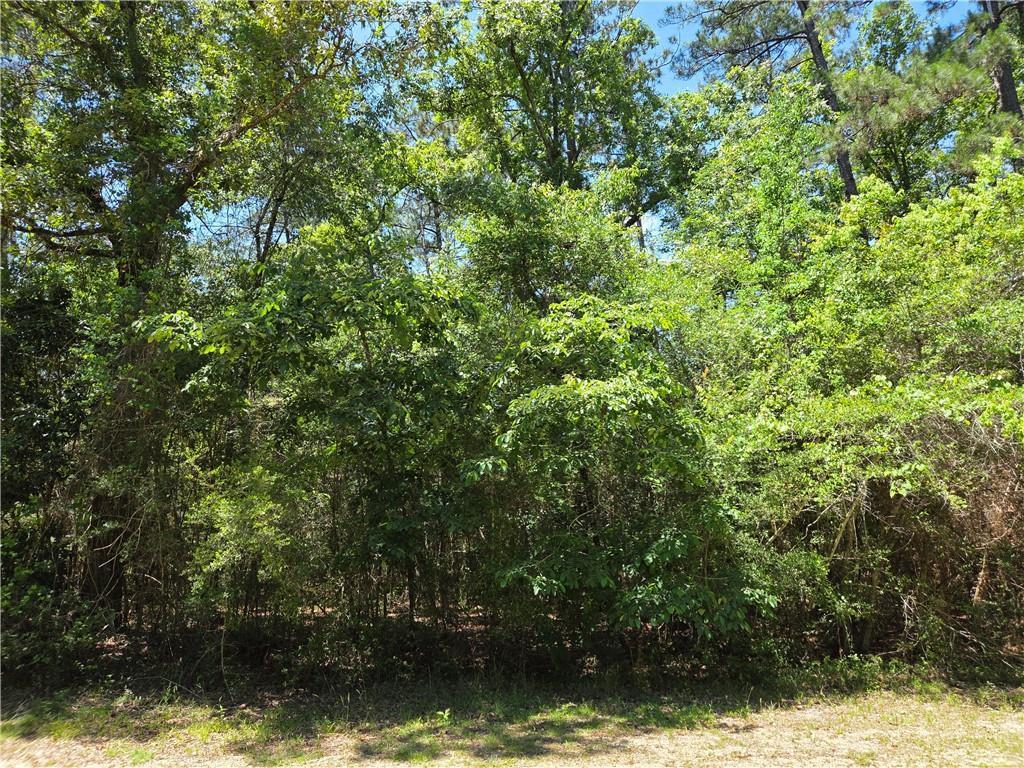 Image 4: Property