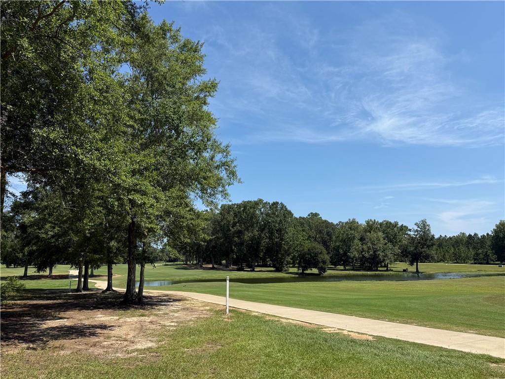 Image 4: Side Golf