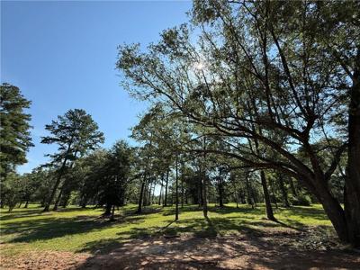 2720 SHADE TREE Court