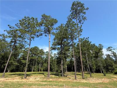 2748 SHADE TREE Court