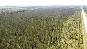 136 Acres 21 Highway
