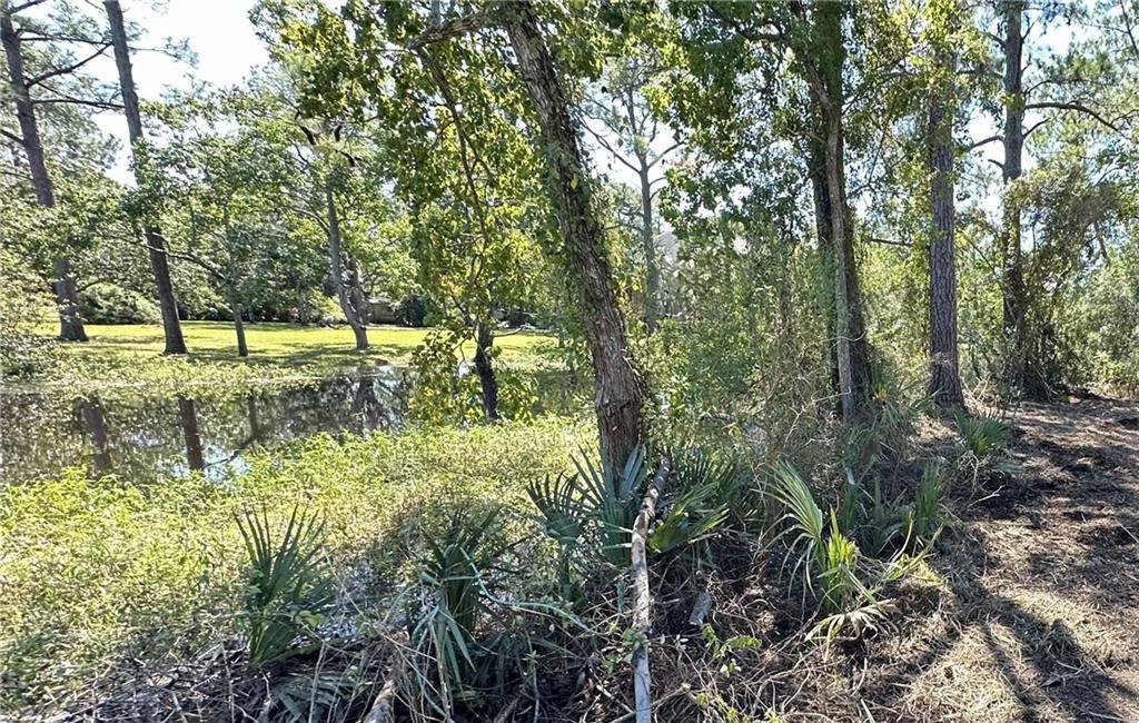 Image 1: Water Front, Navigable Access to Lake Ponchartrain