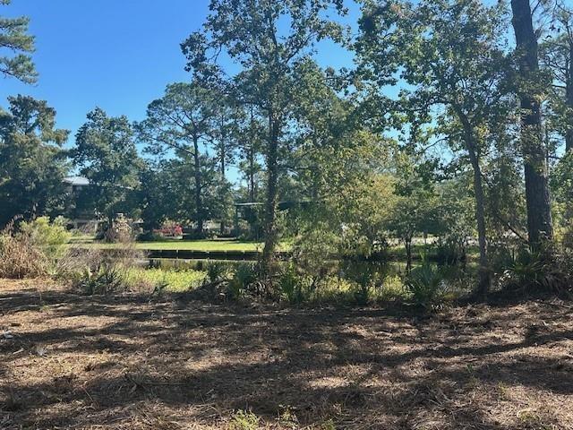 Image 2: Water Front, Navigable Access to Lake Ponchartrain