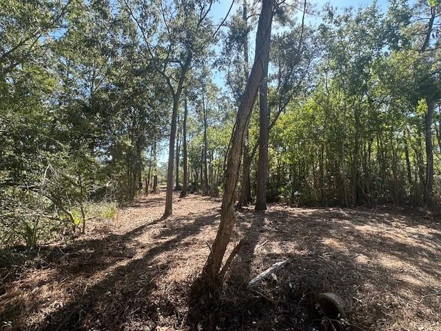 Image 4: Water Front, Navigable Access to Lake Ponchartrain