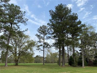 Lot 369 BALD EAGLE Drive