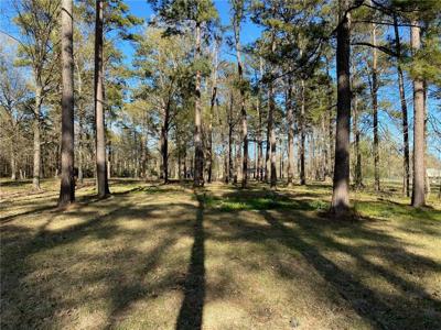 LOT 3 LOU ANN Drive