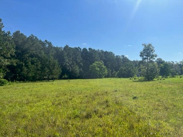 Image 1: Cleared Pasture Land
