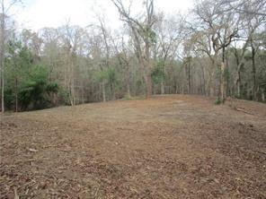 TBD KAYLA Drive