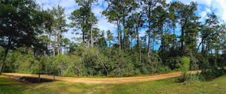 40253 NICOLE ELIZABETH Drive