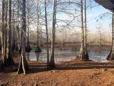 568 & 572 HOG ISLAND Road