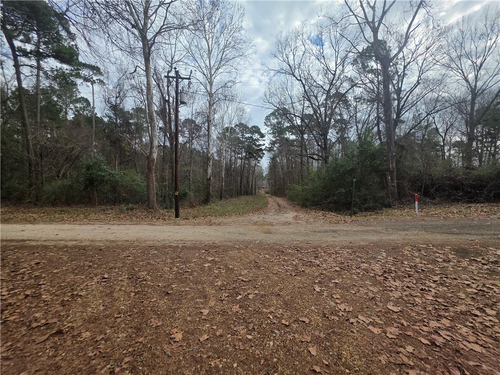 Image 1: Driveway or road that splits the property.