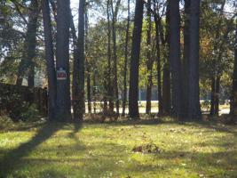 277 GREEN CREST Drive