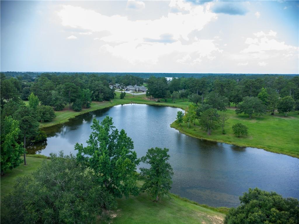Image 3: PRIVATE LAKE BEHIND HOME