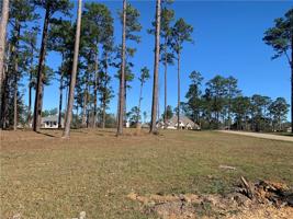 Lot 424 HIDDEN LAKE Loop