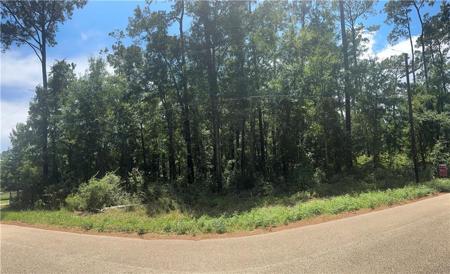 0 LUCILLE Drive