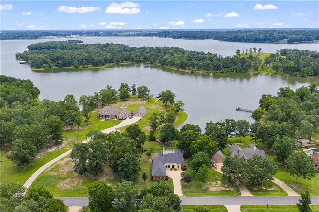 Image 3: Aerial View