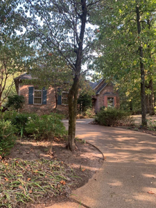 1128 Starling Circle, Oxford MS 38655