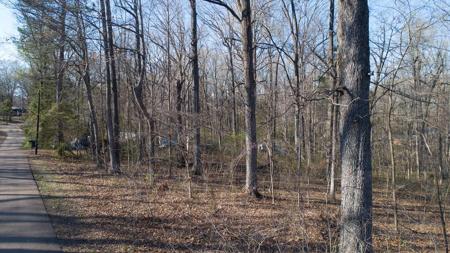 Lot 50 Cr 187, Oxford MS 38655