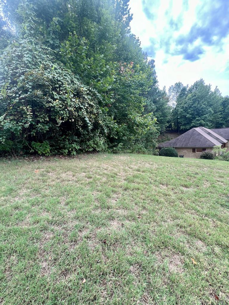 Image 1: Main View