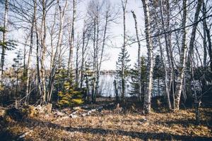 46823 Hartley Lake Road