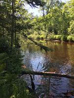 4498 Split Rock Road
