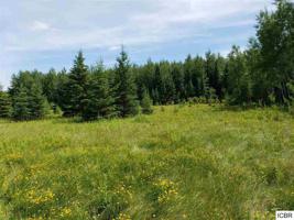 33310 COUNTY RD 42
